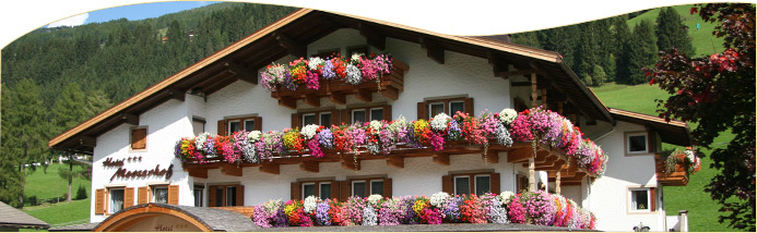 Privacy Hotel Mooserhof & Residence Rotwandblick Sesto