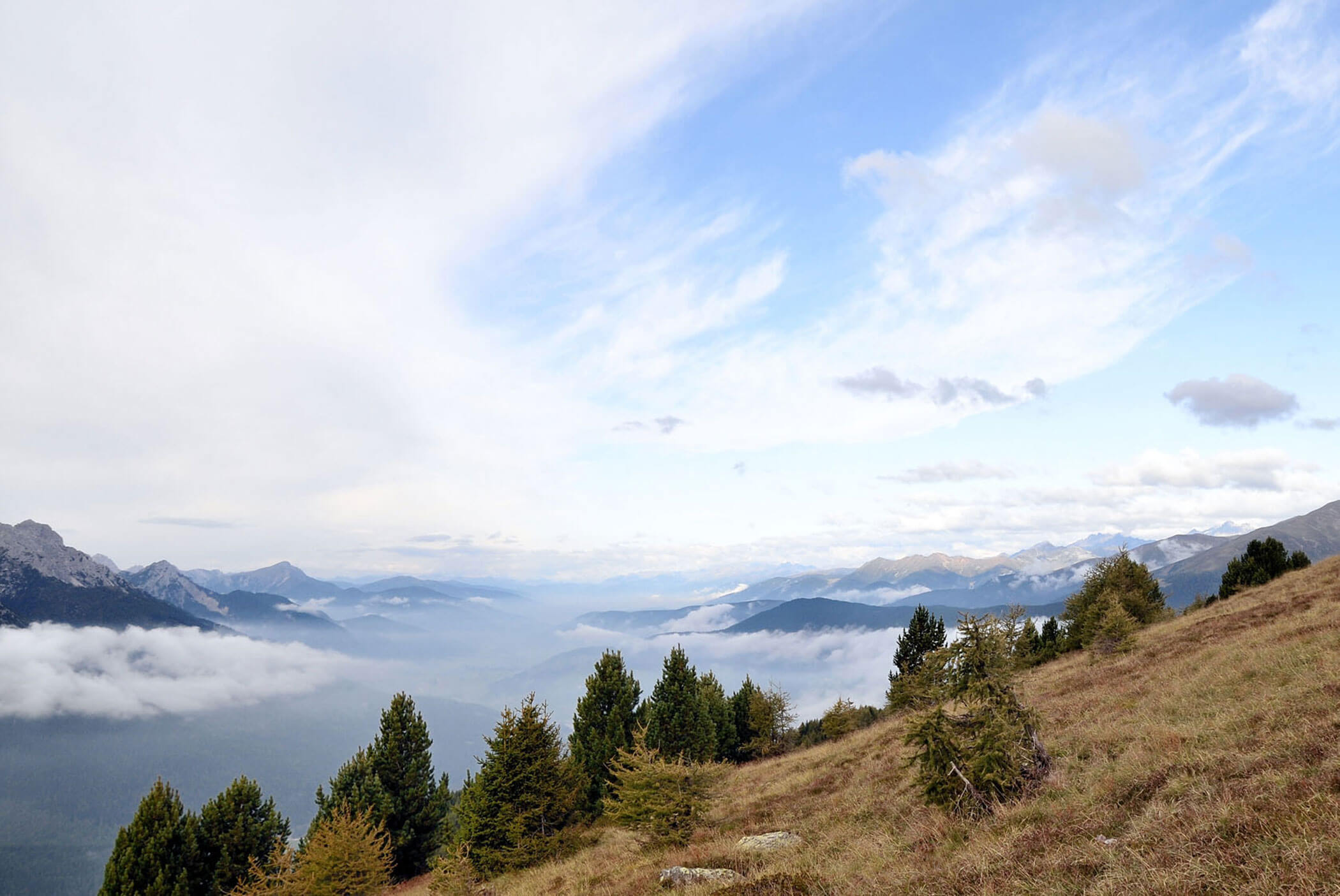 Berglandschaft mit grasbewachsenem Hang, verstreuten Bäumen, entfernten Gipfeln, Nebel und teilweise bewölktem Himmel. - Hotel Mooserhof