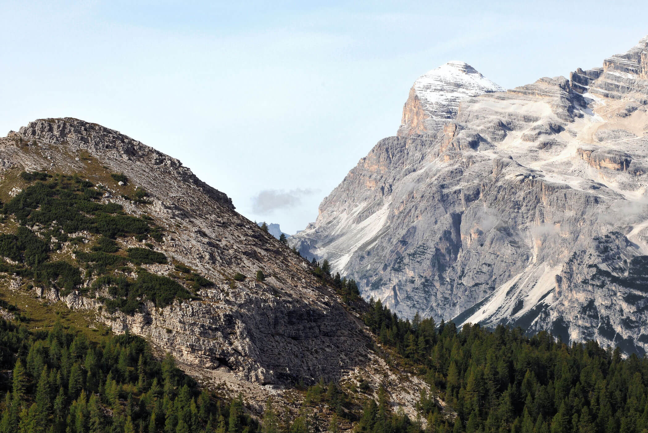 Felsige Berge mit schneebedeckten Gipfeln und grünen Kiefern unter einem klaren Himmel. - Hotel Mooserhof